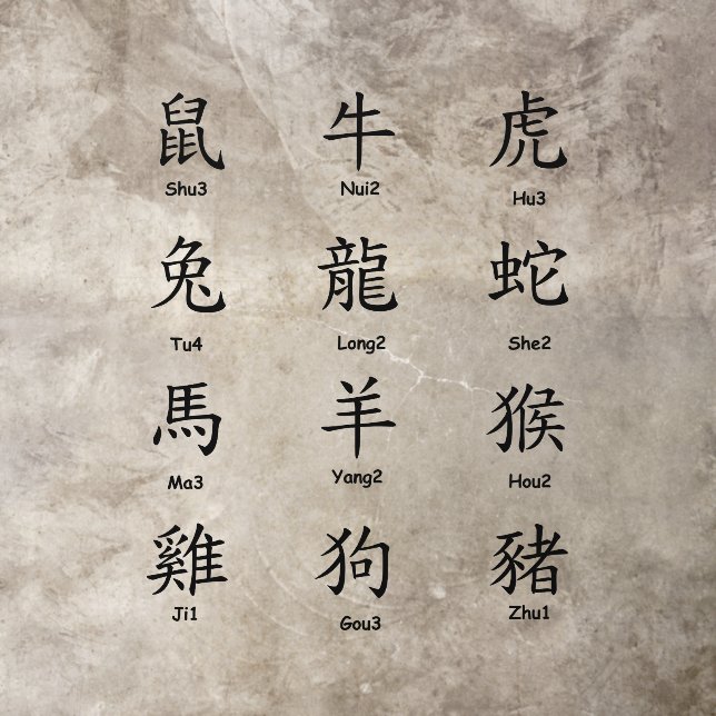 Learn to Read Chinese with Zodiac Animals Black Floor Decals (Insitu)
