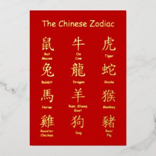 Learn to Read Chinese Zodiac Animals New Year Foil Holiday Card