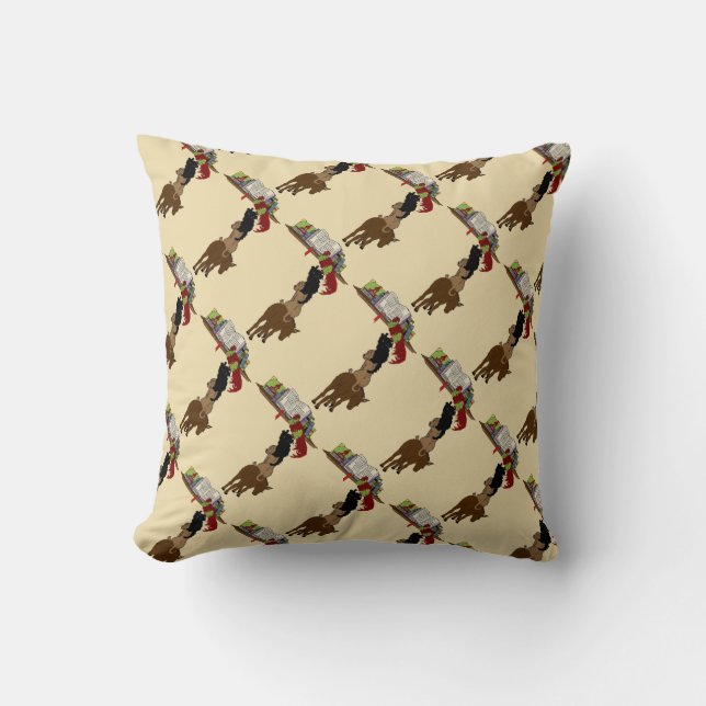 Learn To Read Throw Pillow (Front)