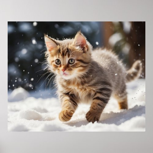  Learning about Snow Kitty 54  Kitten Cat AP68 Poster