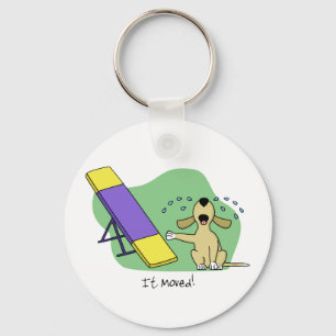 Learning the Teeter Agility Keychain