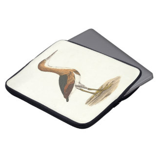 Least Bittern (Ixobrychus exilis) New York Birds Laptop Sleeve