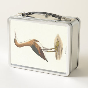 Least Bittern (Ixobrychus exilis) New York Birds Metal Lunch Box