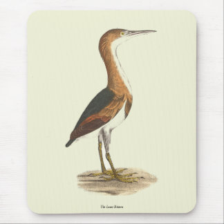 Least Bittern (Ixobrychus exilis) New York Birds Mouse Pad