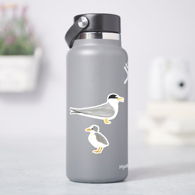 Least Tern with its Chick Sticker (HydroFlask)