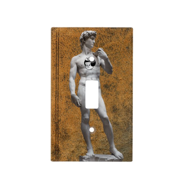 Leather David Light Switch Cover (Front)