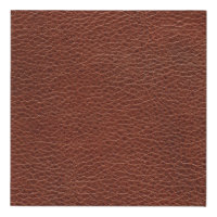 Leather Faux Wrapped Canvas Print