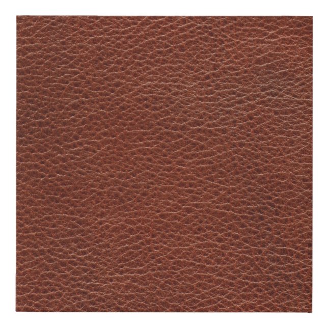 Leather Faux Wrapped Canvas Print (Front)