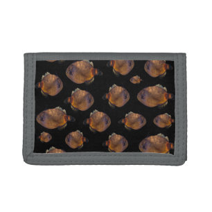 Leather Jacket Fish, Trifold Wallet