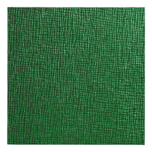 Leather with abstract pattern in green color. Abst Faux Canvas Print