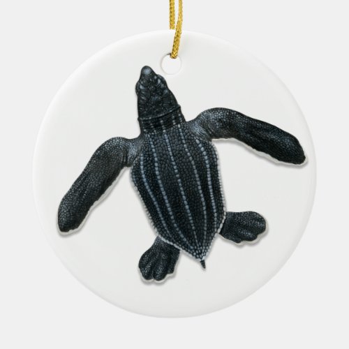 Leatherback Sea Turtle Hatchling Ornament