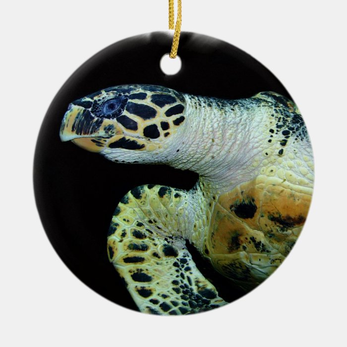 Leatherback Sea Turtle Ornament
