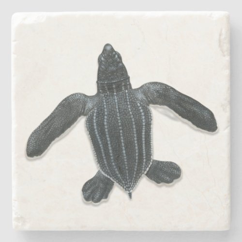 Leatherback Sea Turtle Stone Coaster