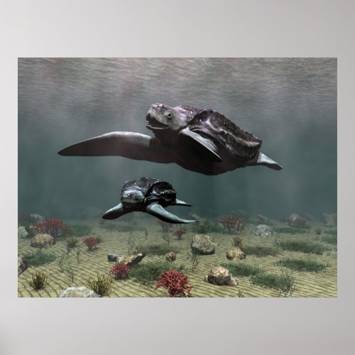 Leatherback turtle poster