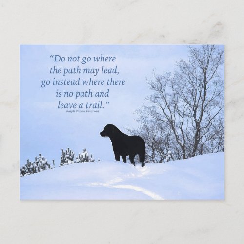 Leave a Trail 2 _ Inspirational Quote _ Black Lab Postcard