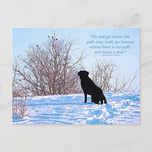 Leave a Trail _ Inspirational Quote _ Black Lab Postcard