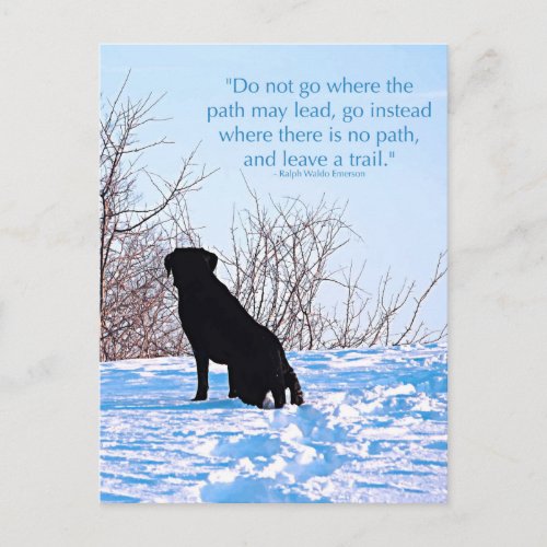 Leave a Trail _ Inspirational Quote _ Black Lab Postcard