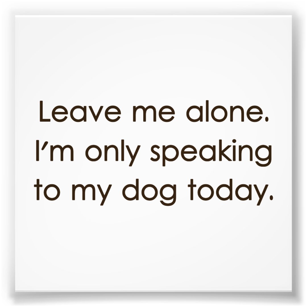 Leave Me Alone I'm Only Talking To My Dog Today - Women's Cute Pet Sweatshirt, HotScamp