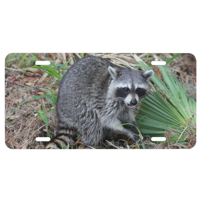 Leave Me Alone License Plate (Front)