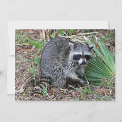 Leave Me Alone Note Card
