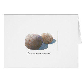 Leave no stone unturned cards