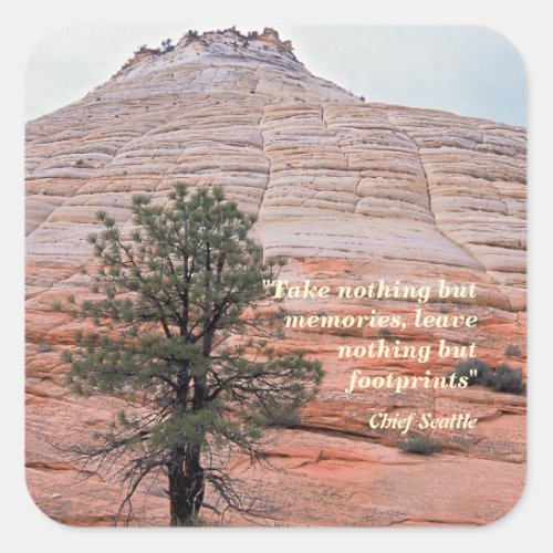 Leave Only Footprints _ Chief Seattle Quote Square Sticker