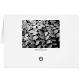 Leaves (Back Horizontal)