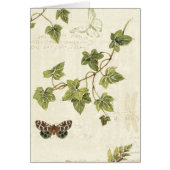 Leaves and a Butterfly (Front)