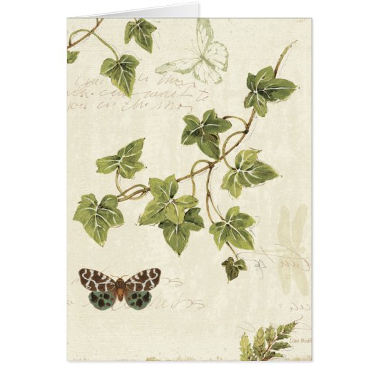 Leaves and a Butterfly Cards (Front)