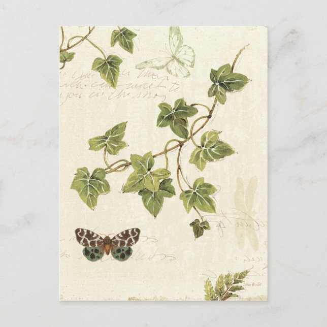 Leaves and a Butterfly Postcard (Front)