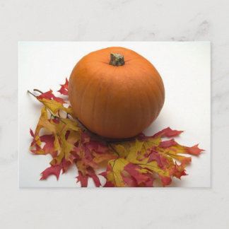 Leaves And Pumpkins Postcard