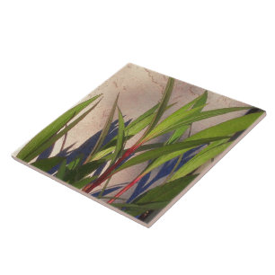 Leaves and Shadows Ceramic Tile
