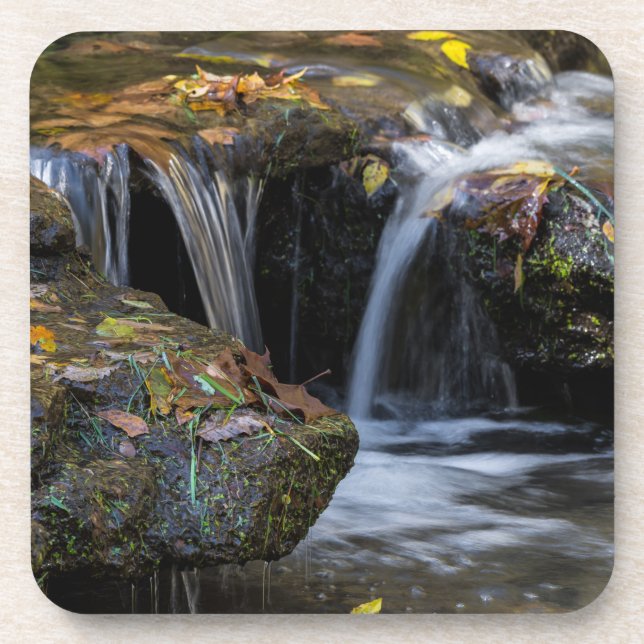 Leaves And Waterfalls Beverage Coaster (Front)