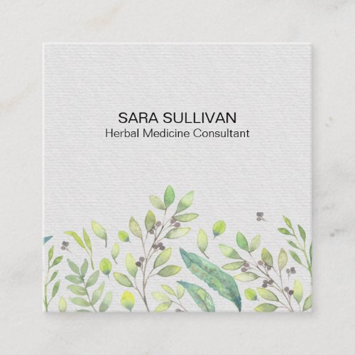 Leaves Berries Herbal Medicine Herbs Square Business Card