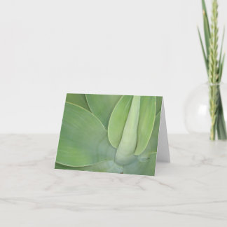 Leaves Card