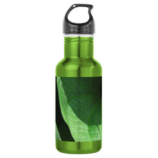 Leaves Closeup in Light and Shadow Stainless Steel Water Bottle