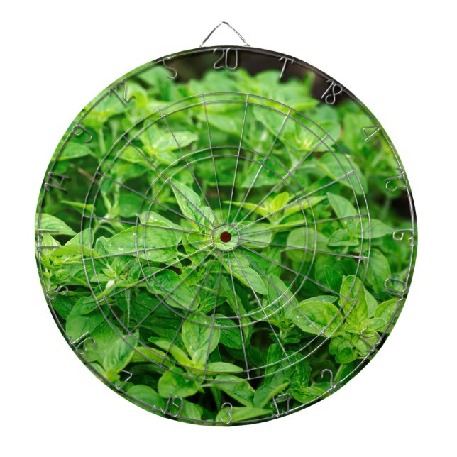 Leaves Dartboard (Front)