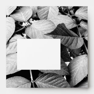 Leaves Envelope