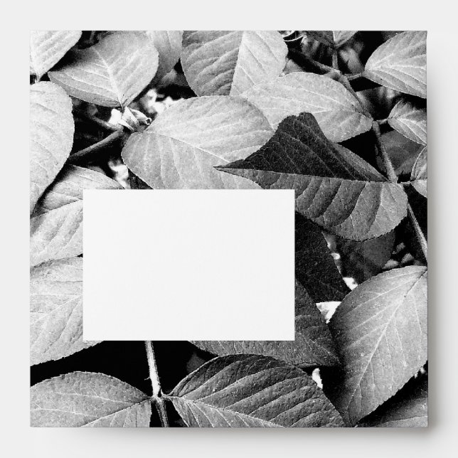 Leaves Envelope (Front)