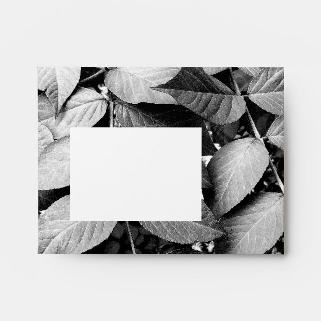 Leaves Envelope (Front)