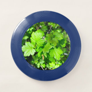 Leaves Frisbee