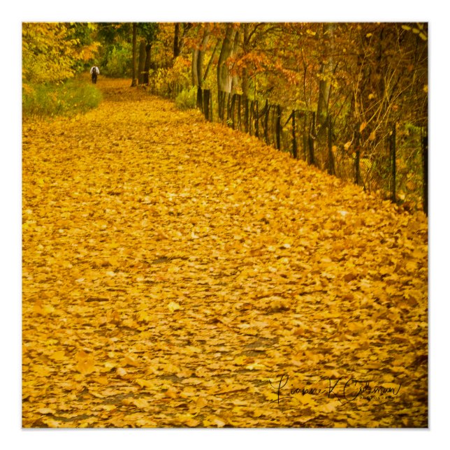 LEAVES GONE WILD FALL FOLIAGE POSTER (Front)
