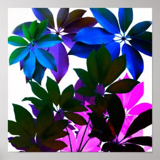 Leaves in Blue & Green, Pink   Poster Paper