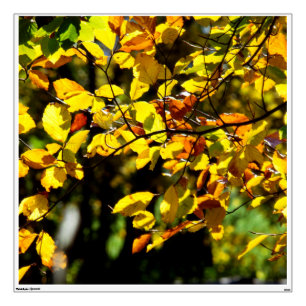 Leaves in the Fall Wall Decal