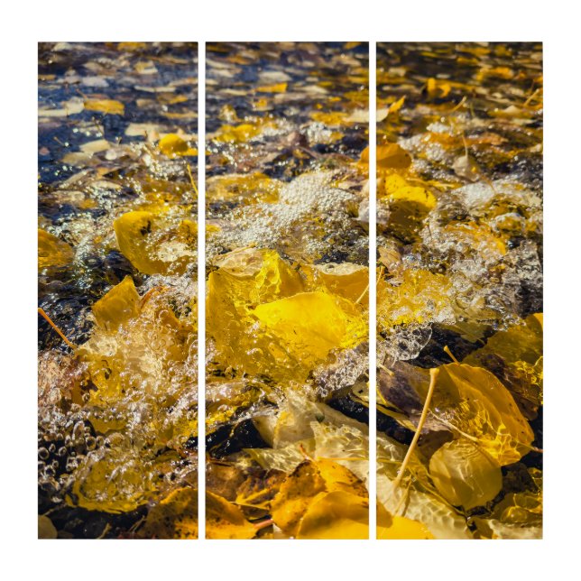 Leaves in Water Triptych (Front)