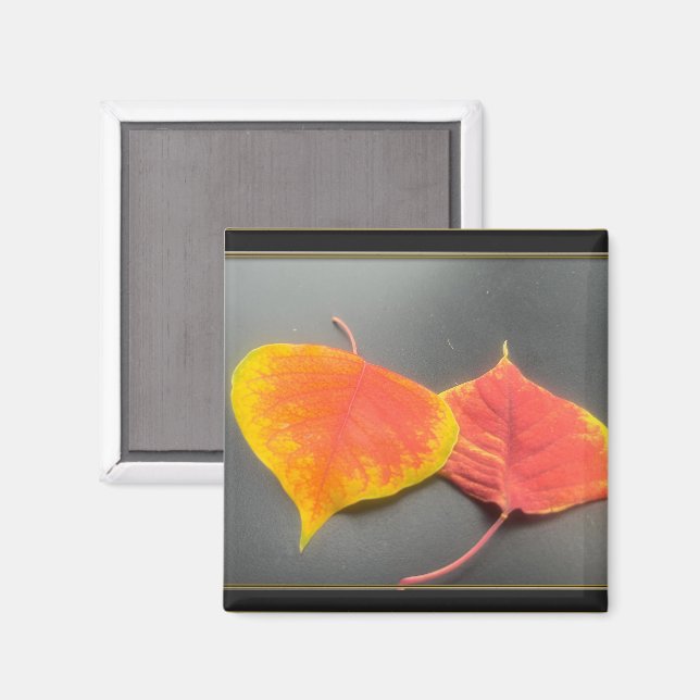 Leaves Magnet (Front/Back)