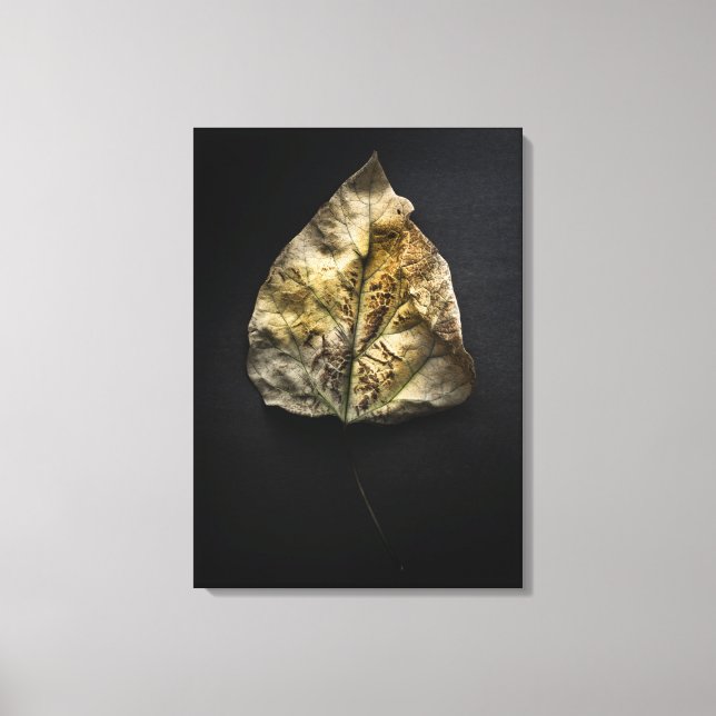 Leaves No 1 Color Version Canvas Print (Front)