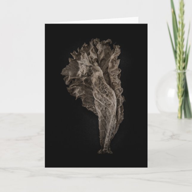 Leaves No 8 Color Version Card (Front)