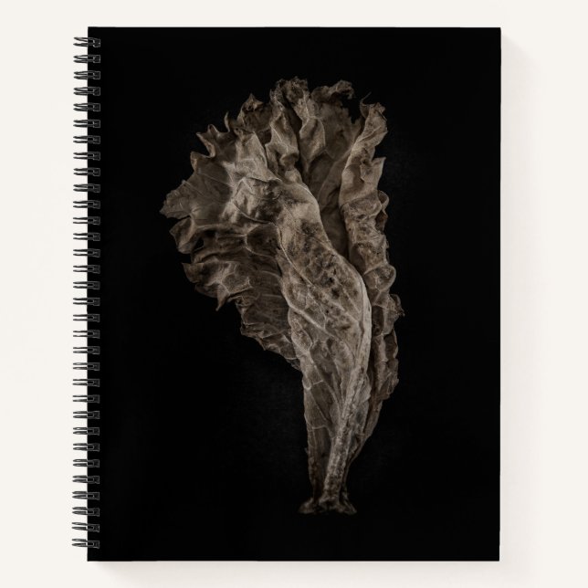 Leaves No 8 Color Version Notebook (Front)