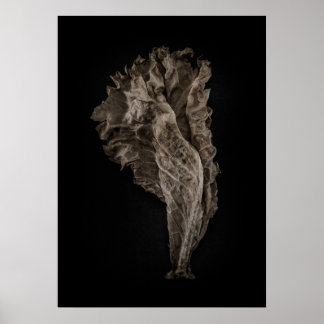 Leaves No 8 Color Version Poster